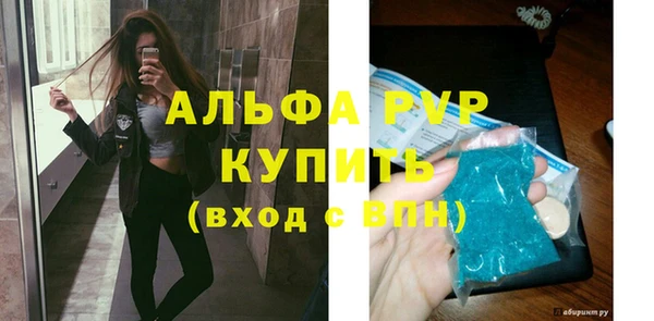 индика Пестово