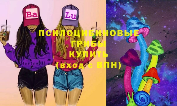 амф Пересвет