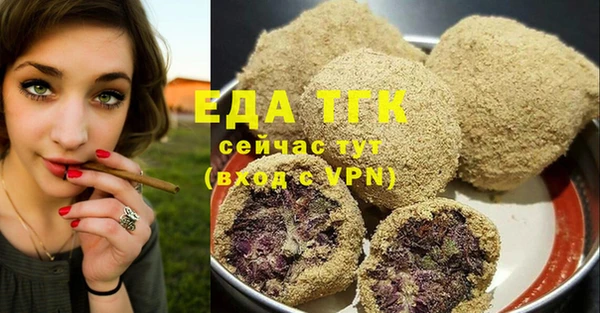 индика Пестово