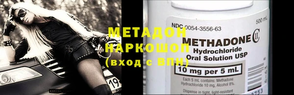 индика Пестово