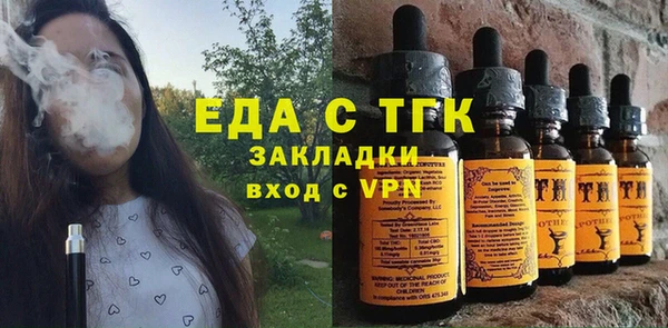 индика Пестово