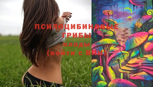 экстази Абаза
