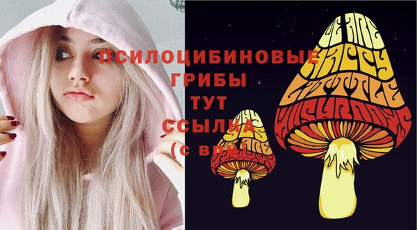 спиды Абинск