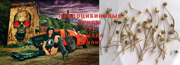МДПВ Переславль-Залесский