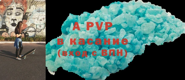 индика Пестово