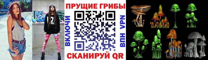 купить наркотик  Гагарин  Псилоцибиновые грибы прущие грибы 